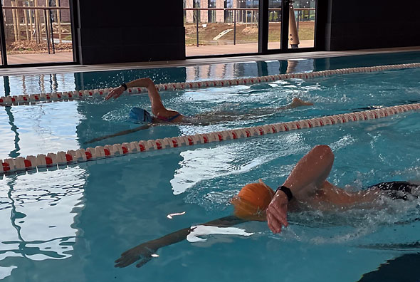 Bassin de nage Libre